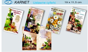Karnet SG CYFERKI 